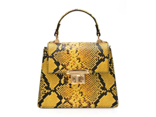 Poseta FLAVIA PASSINI galbena, AA510, din piele naturala