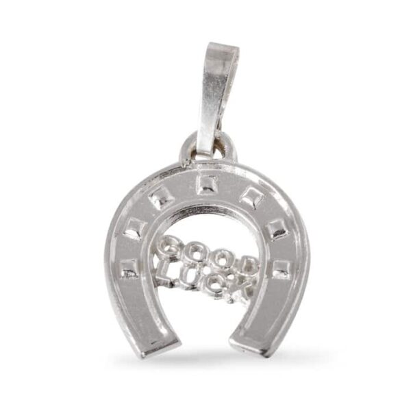 PANDANTIV POTCOAVA GOOD LUCK