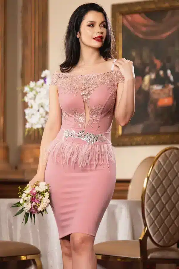 Rochie eleganta Delight rose cu broderie si fulgi decorativi