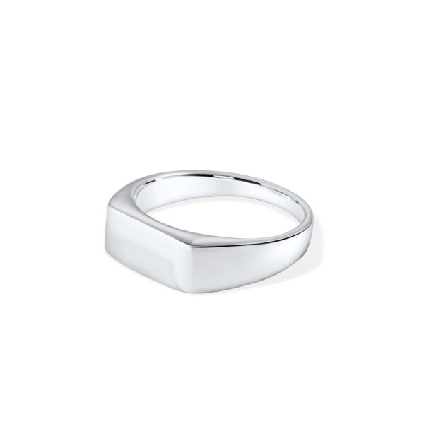 Inel din argint Silver Minimal Marvel