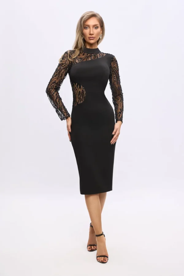 rochie-eleganta-neagra-cu-maneci-din-broderie-pretioasa_14939.webp